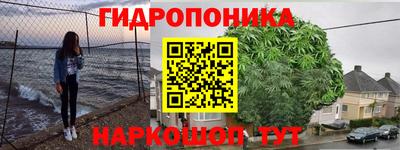 сатива Кунгур