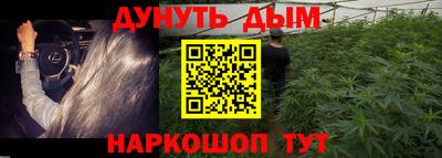 сатива Кунгур