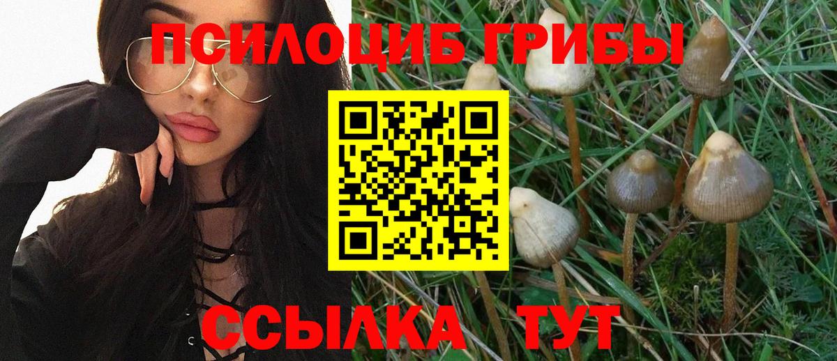 Галлюциногенные грибы Psilocybine cubensis  Вход с VPN  Егорьевск  Псилоцибиновые грибы мицелий 